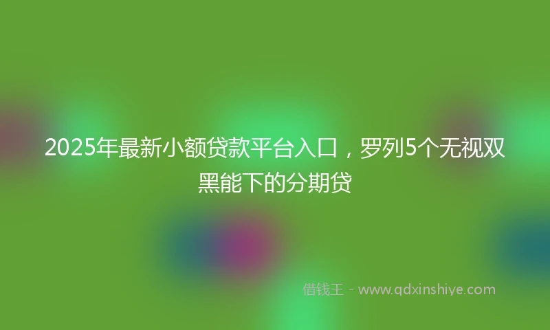 2025年最新小额贷款平台入口，罗列5个无视双黑能下的分期贷
