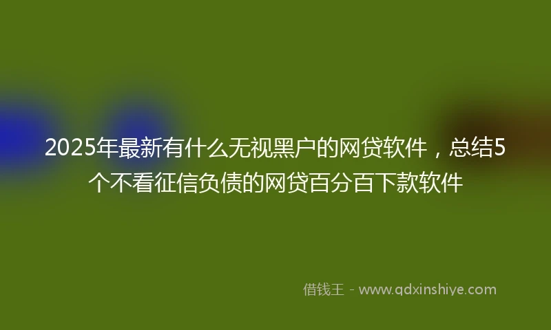 2025年最新有什么无视黑户的网贷软件，总结5个不看征信负债的网贷百分百下款软件