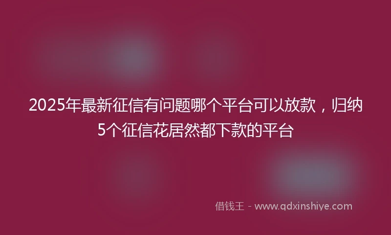 2025年最新征信有问题哪个平台可以放款，归纳5个征信花居然都下款的平台