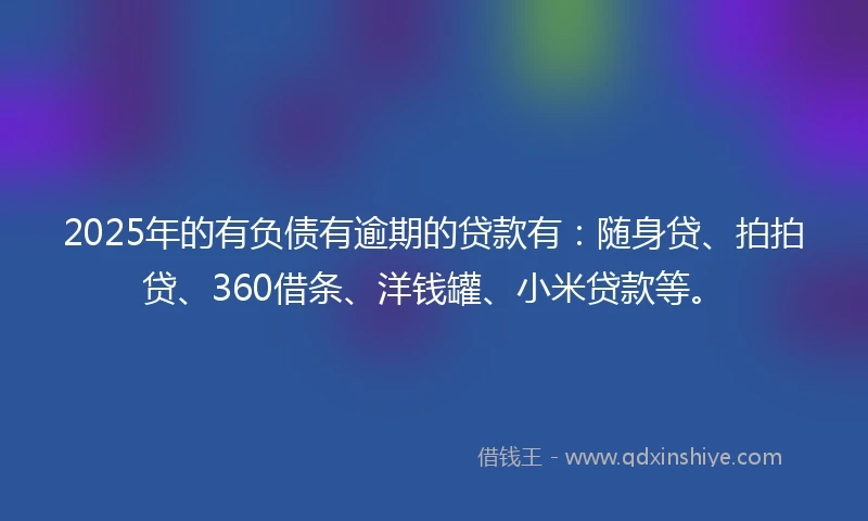 2025年的有负债有逾期的贷款有：随身贷、拍拍贷、360借条、洋钱罐、小米贷款等。