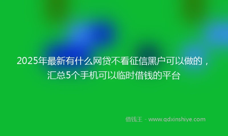 2025年最新有什么网贷不看征信黑户可以做的，汇总5个手机可以临时借钱的平台