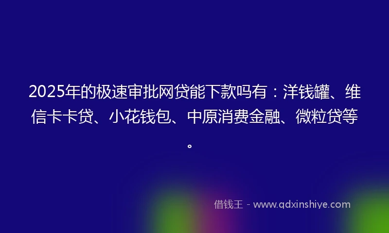 2025年的极速审批网贷能下款吗有：洋钱罐、维信卡卡贷、小花钱包、中原消费金融、微粒贷等。
