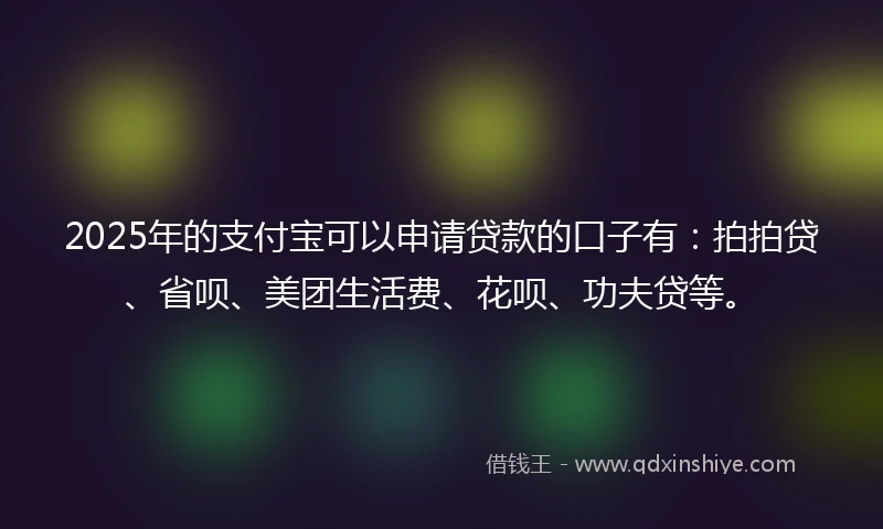2025年的支付宝可以申请贷款的口子有：拍拍贷、省呗、美团生活费、花呗、功夫贷等。