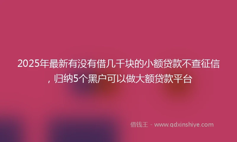 2025年最新有没有借几千块的小额贷款不查征信，归纳5个黑户可以做大额贷款平台