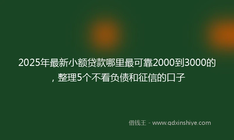 2025年最新小额贷款哪里最可靠2000到3000的，整理5个不看负债和征信的口子