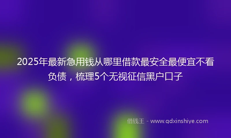 2025年最新急用钱从哪里借款最安全最便宜不看负债，梳理5个无视征信黑户口子