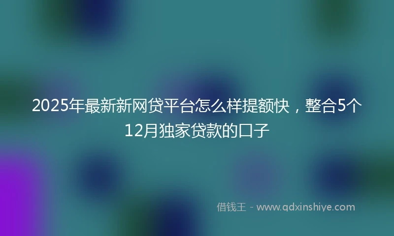 2025年最新新网贷平台怎么样提额快，整合5个12月独家贷款的口子