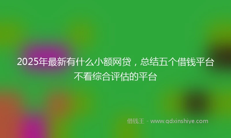 2025年最新有什么小额网贷，总结五个借钱平台不看综合评估的平台