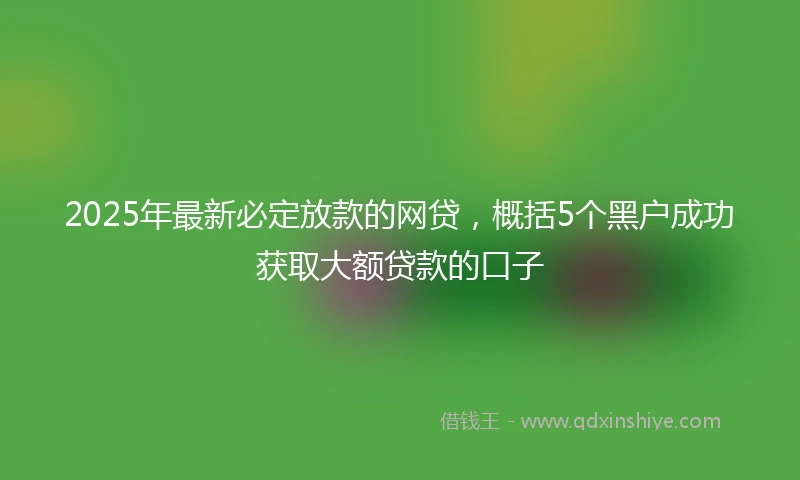 2025年最新必定放款的网贷，概括5个黑户成功获取大额贷款的口子