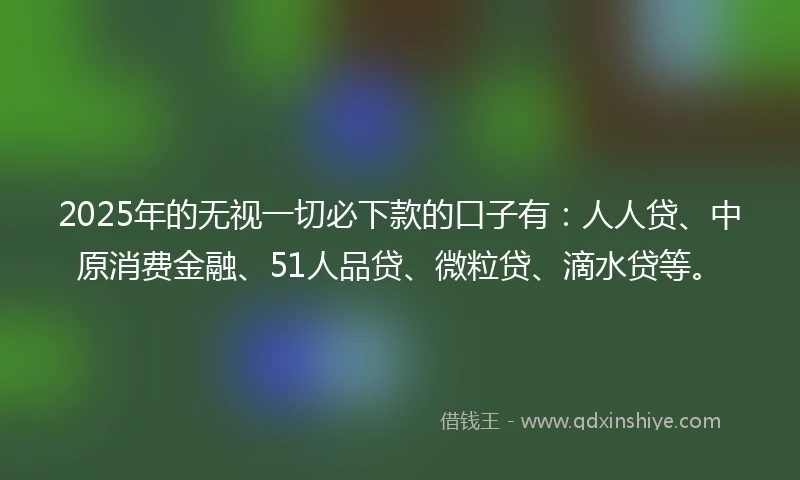 2025年的无视一切必下款的口子有：人人贷、中原消费金融、51人品贷、微粒贷、滴水贷等。