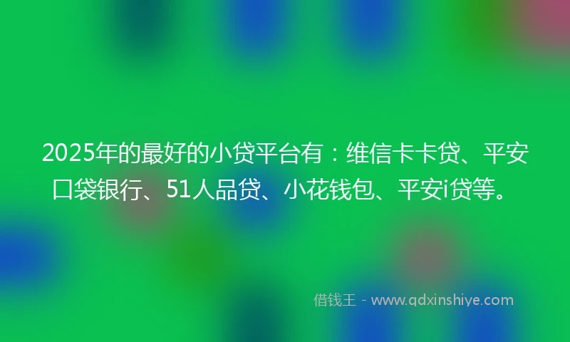 2025年的最好的小贷平台有：维信卡卡贷、平安口袋银行、51人品贷、小花钱包、平安i贷等。