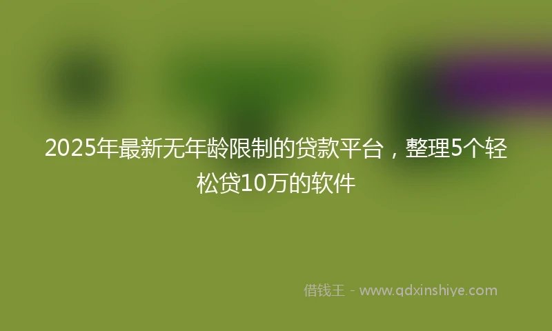 2025年最新无年龄限制的贷款平台，整理5个轻松贷10万的软件