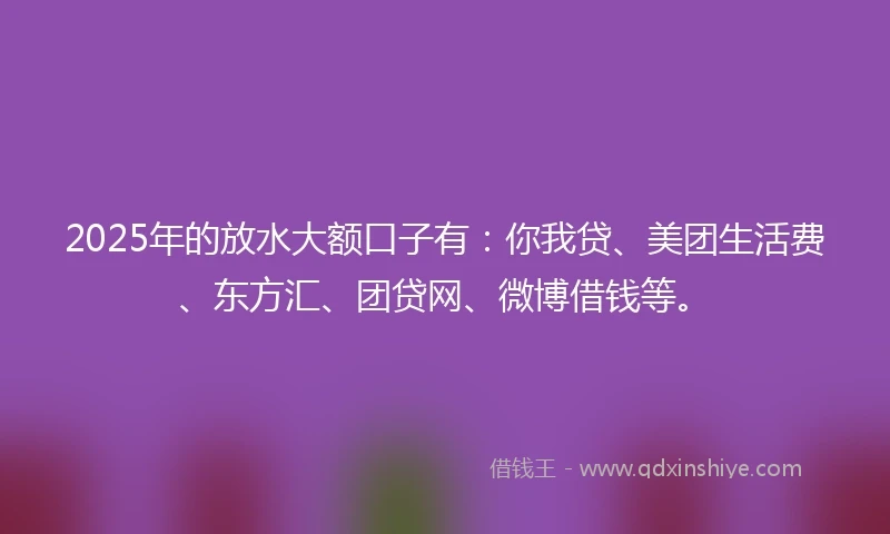 2025年的放水大额口子有：你我贷、美团生活费、东方汇、团贷网、微博借钱等。