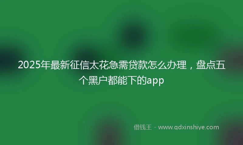 2025年最新征信太花急需贷款怎么办理,盘点五个黑户都能下的app