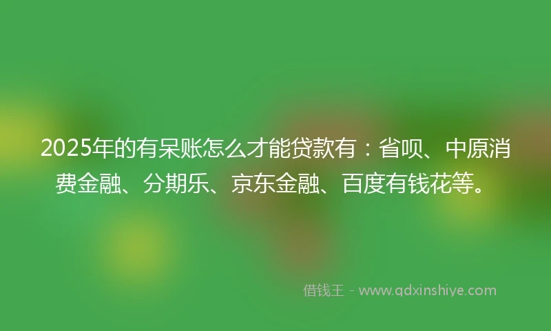 2025年的有呆账怎么才能贷款有：省呗、中原消费金融、分期乐、京东金融、百度有钱花等。