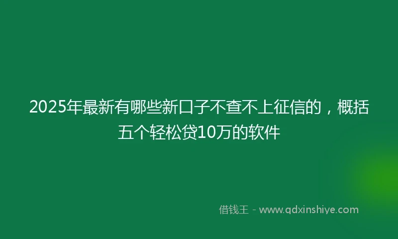 2025年最新有哪些新口子不查不上征信的，概括五个轻松贷10万的软件