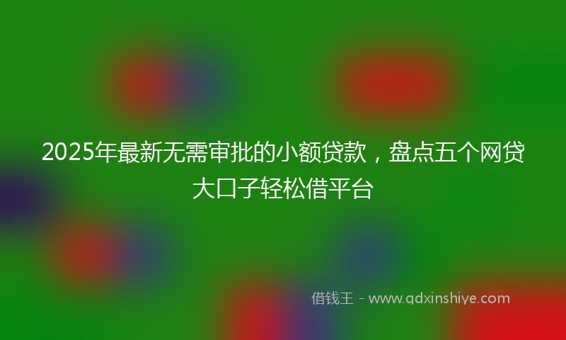 2025年最新无需审批的小额贷款，盘点五个网贷大口子轻松借平台