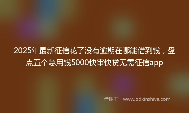 2025年最新征信花了没有逾期在哪能借到钱，盘点五个急用钱5000快审快贷无需征信app