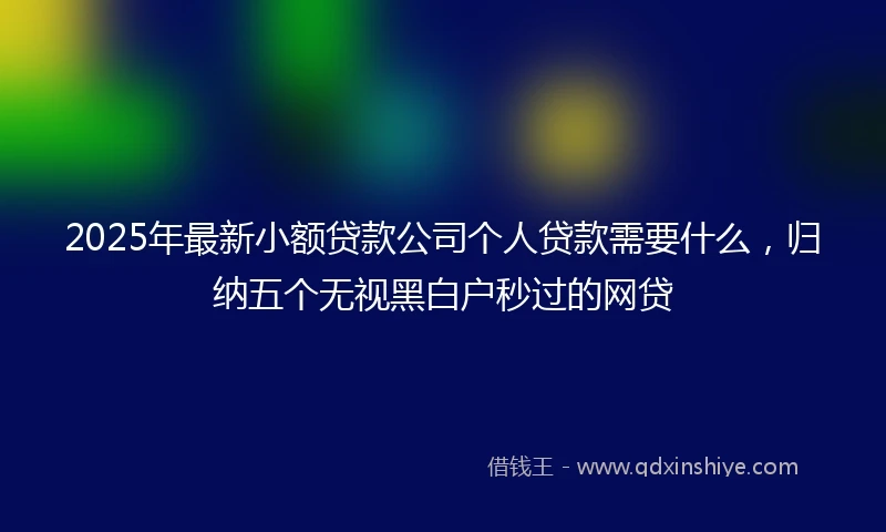 2025年最新小额贷款公司个人贷款需要什么，归纳五个无视黑白户秒过的网贷