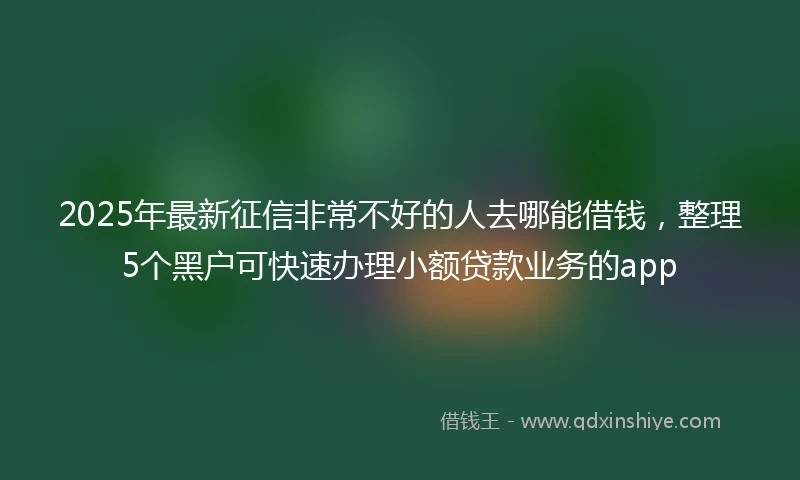 2025年最新征信非常不好的人去哪能借钱，整理5个黑户可快速办理小额贷款业务的app