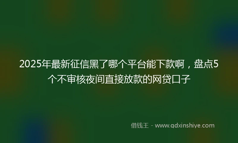 2025年最新征信黑了哪个平台能下款啊，盘点5个不审核夜间直接放款的网贷口子
