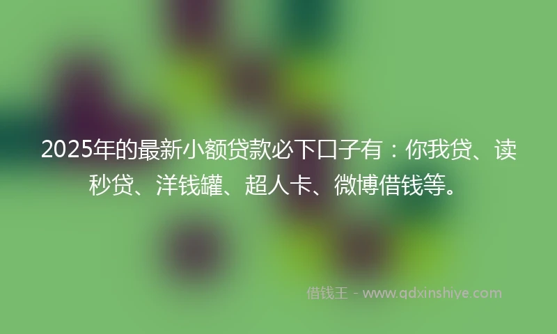 2025年的最新小额贷款必下口子有：你我贷、读秒贷、洋钱罐、超人卡、微博借钱等。