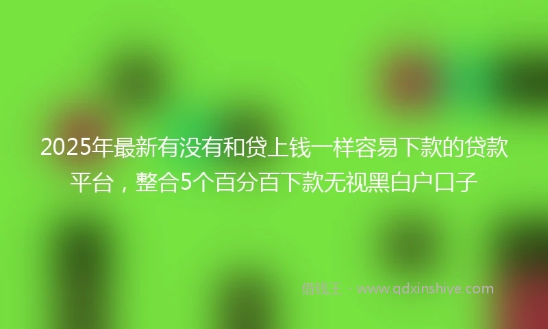 2025年最新有没有和贷上钱一样容易下款的贷款平台，整合5个百分百下款无视黑白户口子