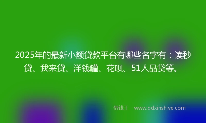 2025年的最新小额贷款平台有哪些名字有：读秒贷、我来贷、洋钱罐、花呗、51人品贷等。