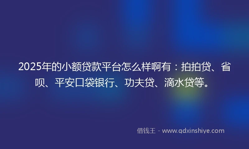 2025年的小额贷款平台怎么样啊有：拍拍贷、省呗、平安口袋银行、功夫贷、滴水贷等。