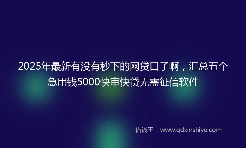 2025年最新有没有秒下的网贷口子啊，汇总五个急用钱5000快审快贷无需征信软件
