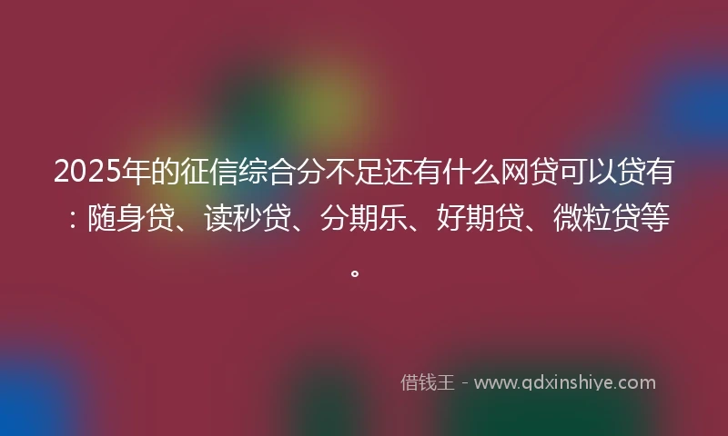 2025年的征信综合分不足还有什么网贷可以贷有：随身贷、读秒贷、分期乐、好期贷、微粒贷等。