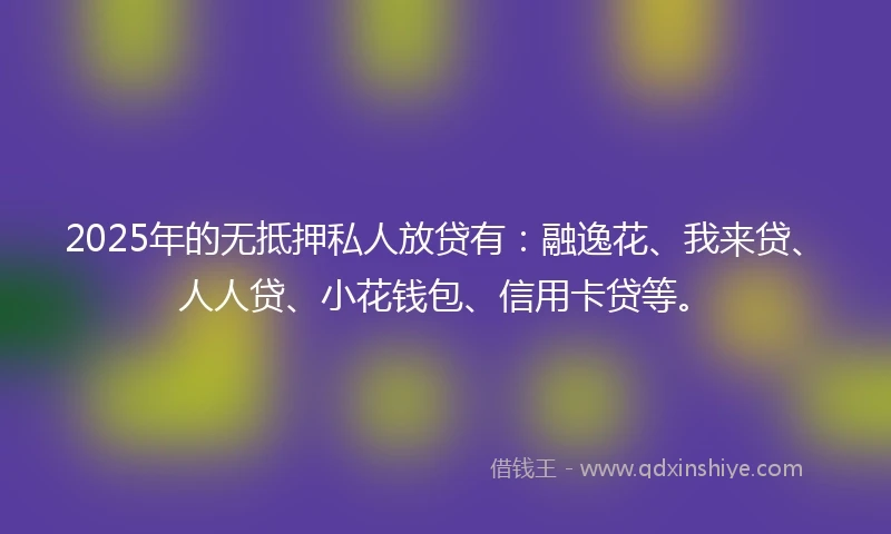 2025年的无抵押私人放贷有：融逸花、我来贷、人人贷、小花钱包、信用卡贷等。