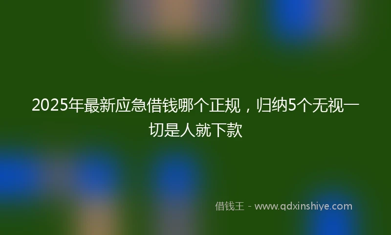 2025年最新应急借钱哪个正规，归纳5个无视一切是人就下款