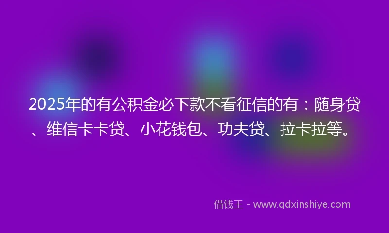 2025年的有公积金必下款不看征信的有：随身贷、维信卡卡贷、小花钱包、功夫贷、拉卡拉等。