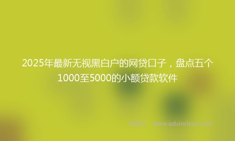 2025年最新无视黑白户的网贷口子，盘点五个1000至5000的小额贷款软件