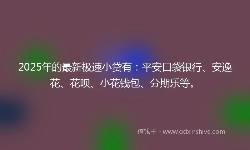 2025年的最新极速小贷有：平安口袋银行、安逸花、花呗、小花钱包、分期乐等。