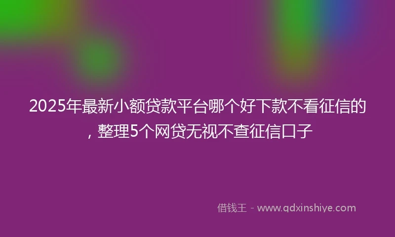 2025年最新小额贷款平台哪个好下款不看征信的，整理5个网贷无视不查征信口子