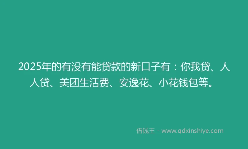 2025年的有没有能贷款的新口子有：你我贷、人人贷、美团生活费、安逸花、小花钱包等。