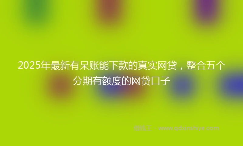 2025年最新有呆账能下款的真实网贷，整合五个分期有额度的网贷口子