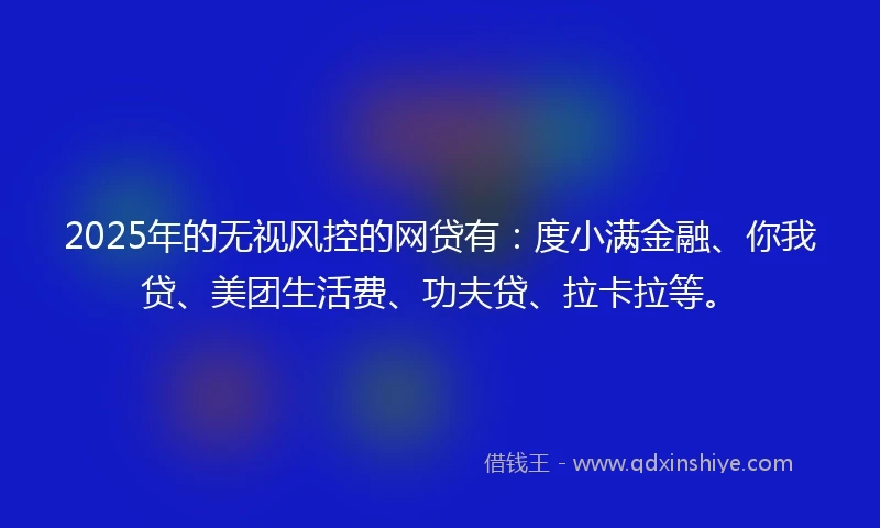 2025年的无视风控的网贷有：度小满金融、你我贷、美团生活费、功夫贷、拉卡拉等。