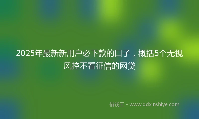2025年最新新用户必下款的口子，概括5个无视风控不看征信的网贷