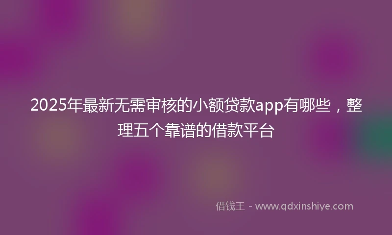 2025年最新无需审核的小额贷款app有哪些，整理五个靠谱的借款平台
