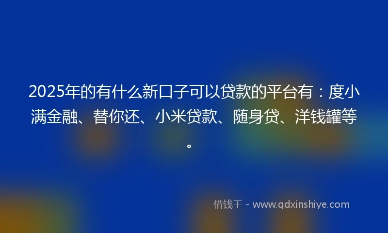 2025年的有什么新口子可以贷款的平台有：度小满金融、替你还、小米贷款、随身贷、洋钱罐等。
