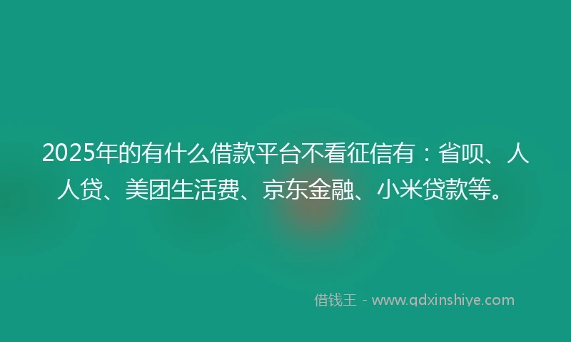 2025年的有什么借款平台不看征信有：省呗、人人贷、美团生活费、京东金融、小米贷款等。