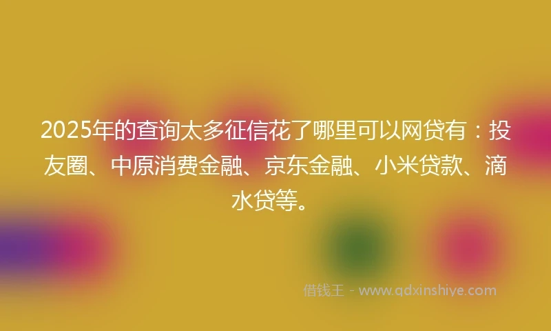 2025年的查询太多征信花了哪里可以网贷有：投友圈、中原消费金融、京东金融、小米贷款、滴水贷等。