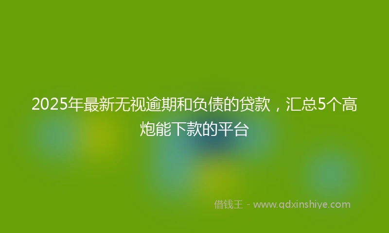 2025年最新无视逾期和负债的贷款，汇总5个高炮能下款的平台