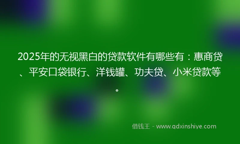 2025年的无视黑白的贷款软件有哪些有：惠商贷、平安口袋银行、洋钱罐、功夫贷、小米贷款等。