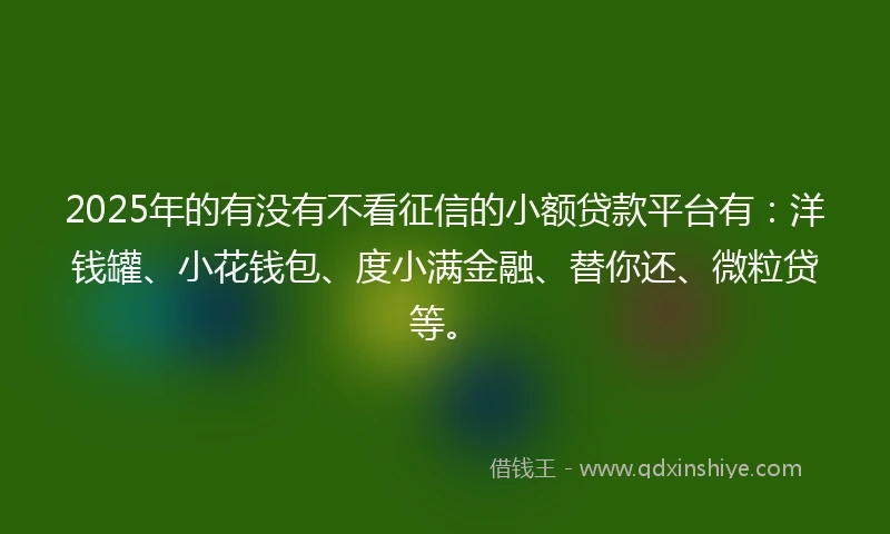 2025年的有没有不看征信的小额贷款平台有：洋钱罐、小花钱包、度小满金融、替你还、微粒贷等。