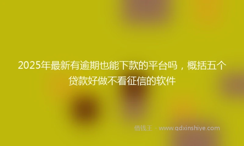 2025年最新有逾期也能下款的平台吗，概括五个贷款好做不看征信的软件