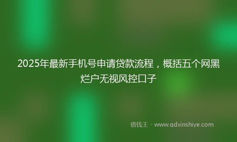 2025年最新手机号申请贷款流程，概括五个网黑烂户无视风控口子